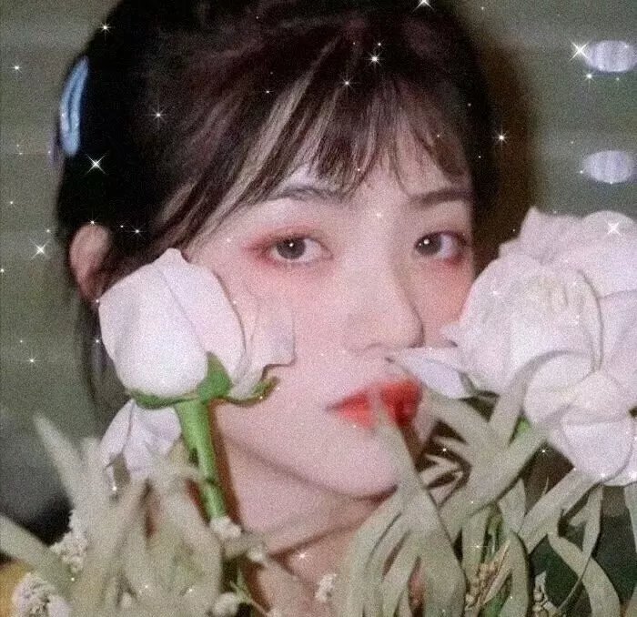 亲爱的独裁者